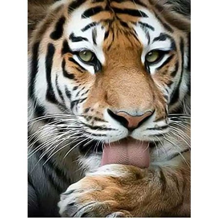 Tiger 5D Diamond Painting Kits - DIY Diamond Art för vuxna hantverk