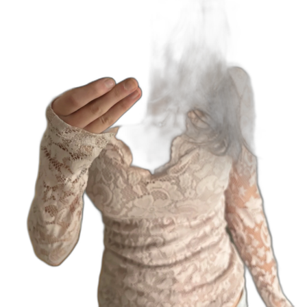 V- ringad rosa spets topp