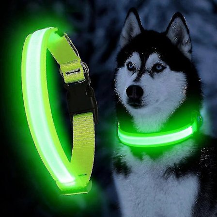 Ultralett USB Oppladbart LED Hundehalsbånd - Justerbart LED Hundehalsbånd - Vanntett Hundehalsbånd - Blinkende Hundehalsbånd Synlighet & Sikkerhet LUS