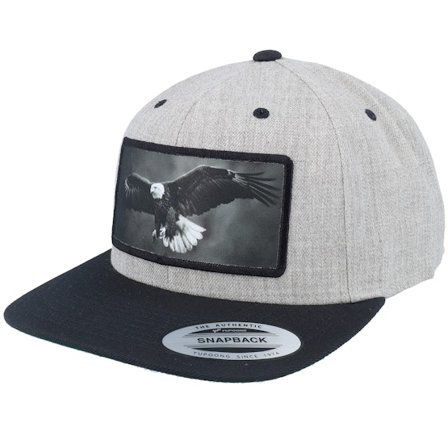 Calza Pennello - Gris snapback Casquette - Eagle Big Patch Heather Grey/Black Snapback @ Hatstore