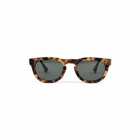 Axel Arigato Alton D-frame SunBril , Groen , unisex , Maat: ONE Size Zonnebrillen