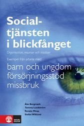 Socialtjänsten i blickfånget : organisation, resurser och insatser