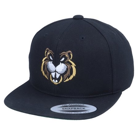 Kiddo Cap - Noir snapback Casquette - Kids Beaver Black Snapback @ Hatstore