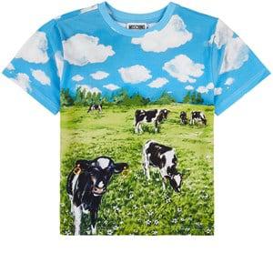 Moschino Blue Landscape T-Shirt 12 years - Tops - 12 years - Green