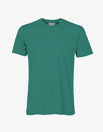 Classic Organic Tee - Pine Green - L
