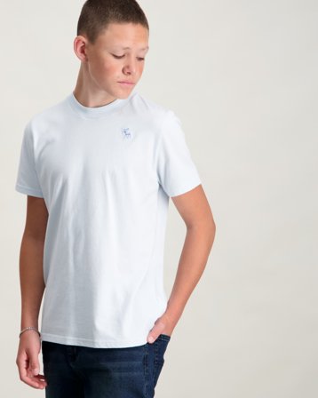 Abercrombie AFBSHORT SLEEVE ESSENTIAL TEE Blå T-shirts Kille - Kids Brand Store