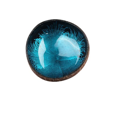 Handgjord naturlig kokosnötskål Kokosnöt prydnad förvaringsskål