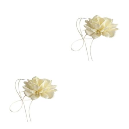 1/2/3/5 Personlig Vintage Stor Flower Choker För Kvinnor off white 2Set