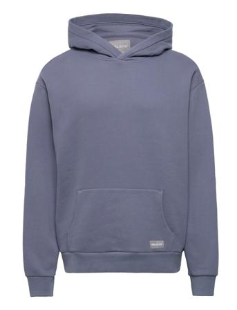 Hco. Guys Sweatshirts Huppari Sininen Hollister