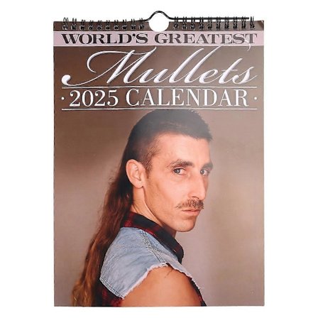 2025 Veggmontering Månedskalender Verdens Beste Mullets Hengekalender Nyttårs Planlegger for Strømper (FMY)