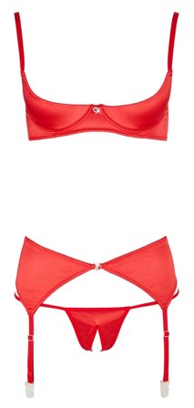 Cottelli Collection: Sexy In Red Open Bra & Panties Set