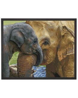 Diamond Dotz Trygghet