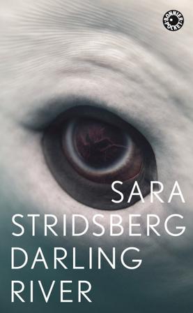 Darling River - Bok av Sara Stridsberg - Pocket
