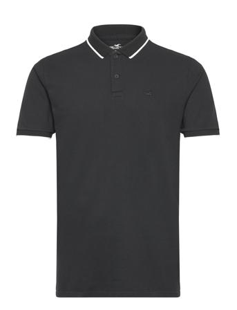 Hco. Guys Knits Black Hollister