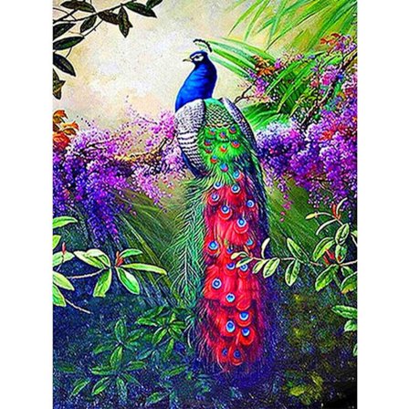 5D Diamantmålningssatser för vuxna, Full Drill Peacock, Runda Di