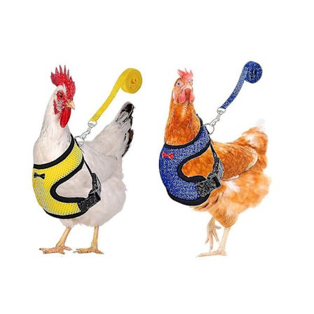 2 pakkauksen kanan valjaat ja talutushihna, parannetut säädettävät hengittävät valjaat, suunniteltu kanojen, ankkojen ja hanhien harjoitteluun ja 