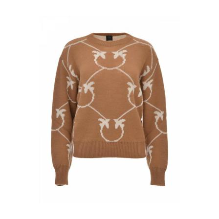 Pinko Sweatshirts Brun, Dame