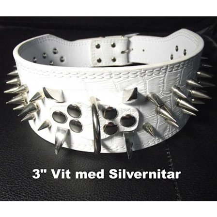 Hund halsband 3" vitt med nitar 59-67cm