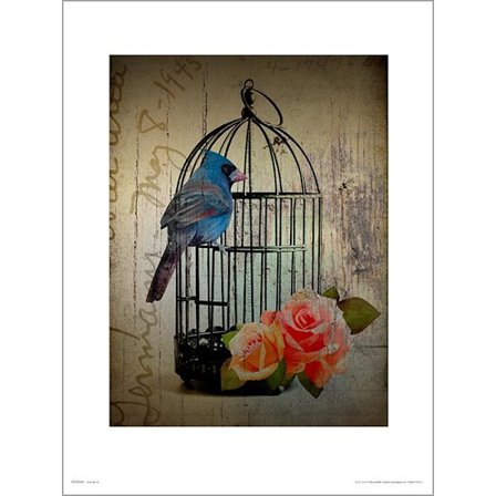 Exklusivt Art Print - Birdcage Vintage - Fågelbur