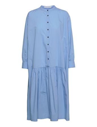 Rosa Blue Rabens Sal R