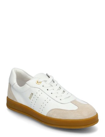 Dasia | Achillea | 40