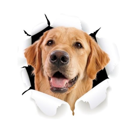 24*24cm Kreativ kat og hund toilet, badekar, køleskab, væg