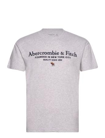 Anf Mens Graphics T-shirts Short-sleeved Grå Abercrombie & Fitch*Betinget Tilbud