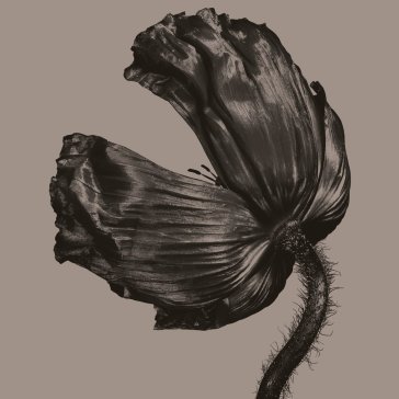 Release Pet Shop Boys