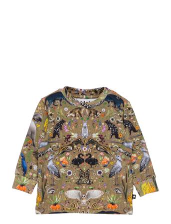 Eloy Patterned Molo