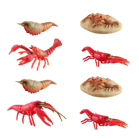 8 stk. Realistiske kreps og reker figurer, PVC marine dyrefigurer for barn – pedagogiske vekstsyklusmodeller, havlivsleker for lek, dekorasjon