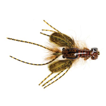 Umpqua Creek Crawler Olive #4 Hada's