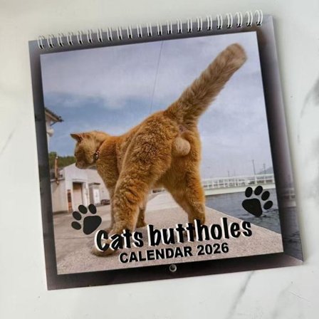 2026 Engelsk kalender katte numser sjov kalender nytårsgave