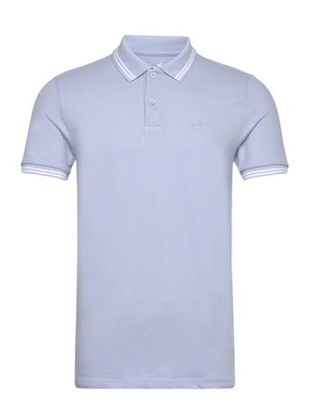 Hco. Guys Knits Hollister Blue