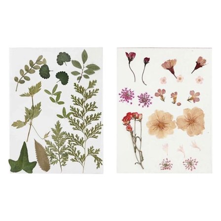 40 kuivattua kukkaa ja lehtiä - vaaleanpunainen ja vihreä