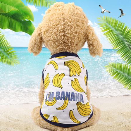 Husdjurskläder Kjol Kattväst Randigt Hängande mesh Vår och sommar Teddy/Pomeranian Vest-banana XS