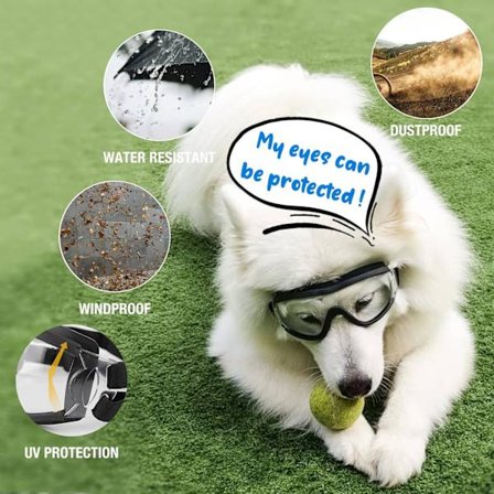 Hundeglasögon för utomhusskydd, justerbar rem, lätt att sätta på