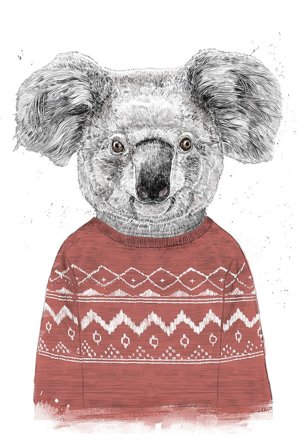 Pelcasa - Plakat Winter Koala (Red) - Hvid - Posters - Fra Homeroom