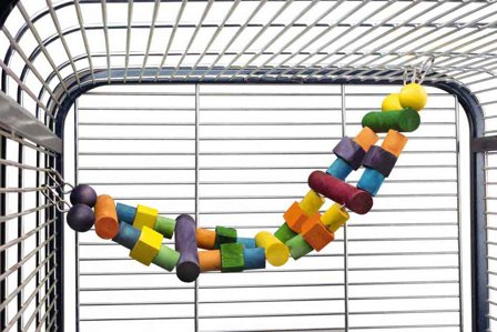 Fugleleke Taustige til Papegøye - XL