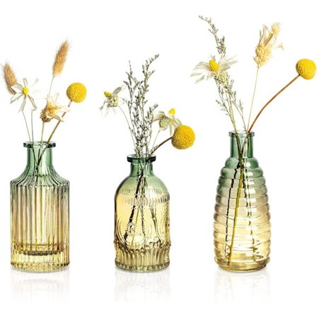 Bud Vaser Sett med 3, Små Glassvaser for Blomster Mini Bud Vaser Søte Fargede Ertevaser Moderne Blomstermidtstykke