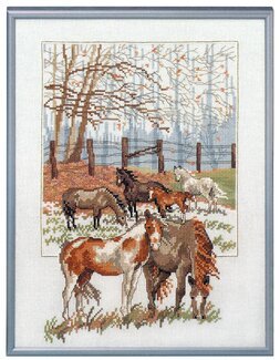 Bild Pferde - Oehlenschläger