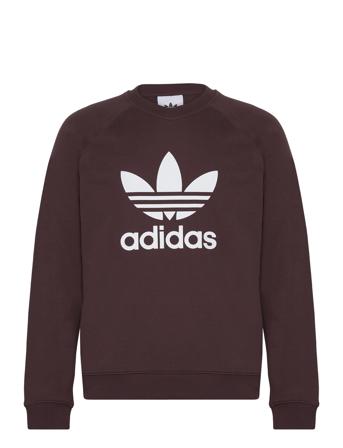 Trefoil Crew Sweat-shirt Genser Brun Adidas Originals*Betinget Tilbud