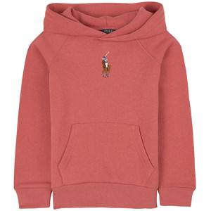 Kids - Ralph Lauren Adirondack Berry Branded Hoodie 5 Years - Jumpers and knitwear - 5 years - Pink