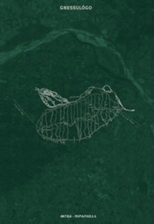 Gnessulógo. Poesia, pittura, territorio. Dentro alla poetica di Andrea Zanzotto Dario Pinton