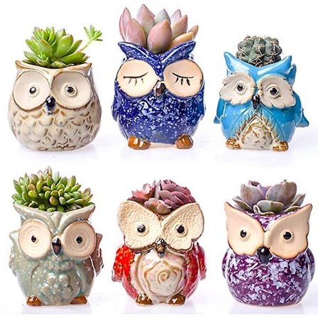 6-pack Sloth-kruka med bambubricka, keramisk liten suckulentkruka, söta djurplanteringskrukor, kaktusblomkruka, behållare, Sloth-gåvor