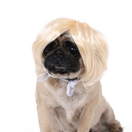 Hodeplagg til hund, katteparykker for Cosplay-fest Ikun-kostyme