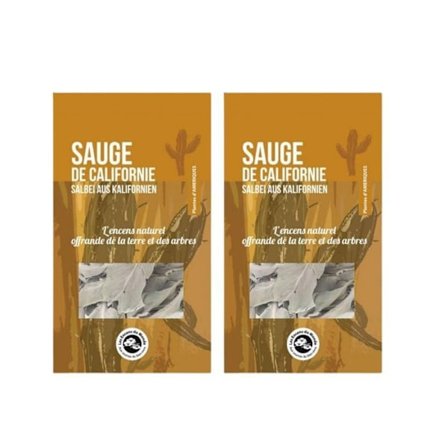 4 kvistar av California Sage att bränna