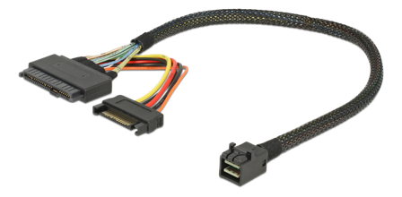 Delock SAS intern kabel - 30 cm