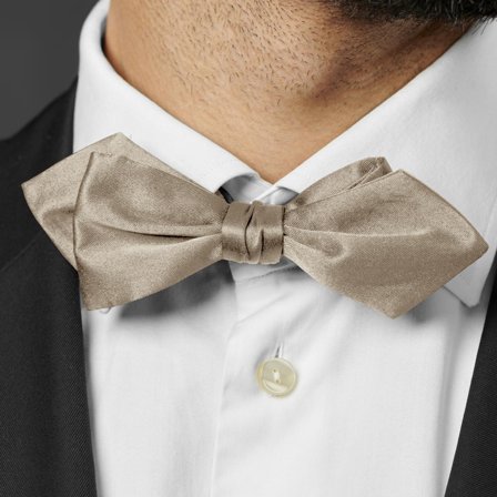 Shiny Champagne Basic Pointy Pre-Tied Bow Tie for Men - Pre-tied bow ties
