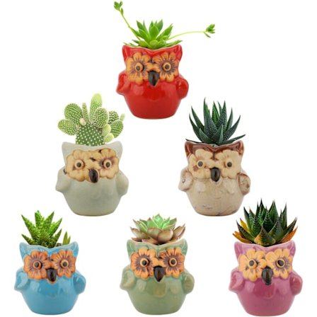 6 stk. sukkulente potteplanter mini ugle keramik blomsterpotte potteplante bonsai kaktus gave hjemmekontor vindueskarm dekoration