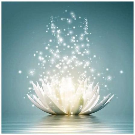 Diamond Painting 5d Diy Diamant Målning Vit Lotus 30x30cm